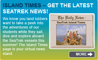 hp island times promo