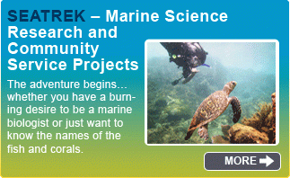 hp marine science promo