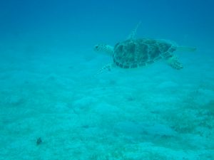 IMG_0189