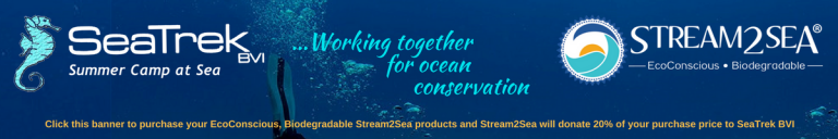 https://stream2sea.com/partner/seatrekbvi/