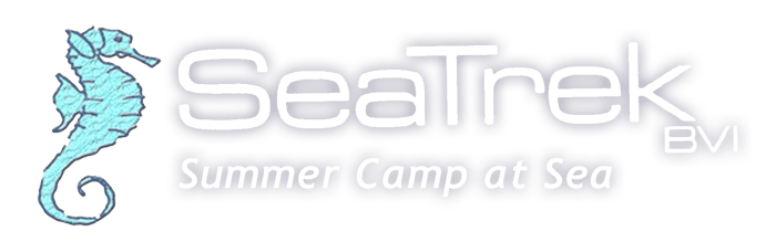 SeaTrek BVI: Summercamp at Sea