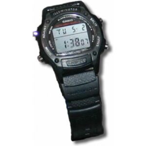 Casio Dive Watch