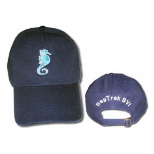 SeaTrek Cap