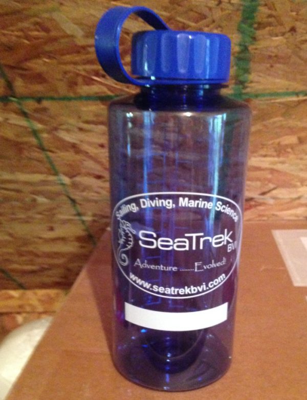 SeaTrek H20 Bottle