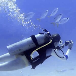 NAUI Underwater Photographer Certification