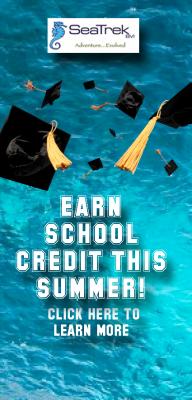 resizedimage192400-College-credit-button