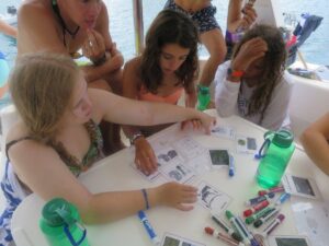 SeaTrek BVI FATHOMS students participate in marine biology activities to learn about water quality and plankton.