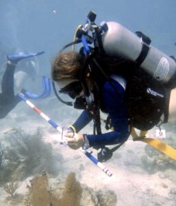 SeaTrek BVI FATHOMS students learn to scuba dive and conduct scientific dives to monitor the health of the coral reefs of the British Virgin Islands.