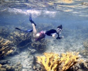 SeaTrek BVI FATHOMS students snorkel and explore the marine biology of the British Virgin Islands.