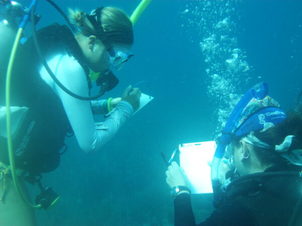 Night Diver Specialty eLearning Course